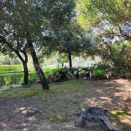 Casa Di Bianca Tirrenia