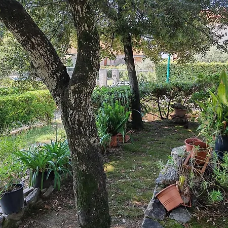 Casa Di Bianca Apartmán Tirrenia
